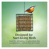 C&S EZ Fill Suet Basket — Vinyl-Coated Wire Hanging Wild Bird Feeder — Green, 5.25"