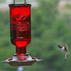 Classic Brands Elixir Hummingbird Feeder — Red Glass & Pewter Finish — 13 oz Nectar