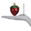Old World Christmas Blown Glass Ornament for Tree, Summer Strawberry