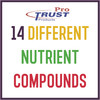 Pro Trust Garden Trust 15-15-14 Plant Fertilizer for Flowers Vegetables & Bulbs, 4lb