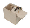 Lambright Chimes Spider Suprise Box