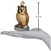 Old World Christmas Wise Old Owl Glass Blown Ornament for Christmas Tree