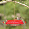 Aspects HummZinger Excel Nectar Bird Feeder with 6 Feeding Ports, 16oz Capacity