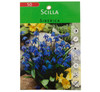 Garden Elements Spring Blooming Bulbs – Scilla Siberica (Siberian Squill) Blue – 50 Pack