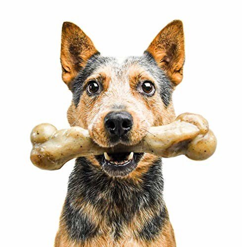 dog aggressive with bone