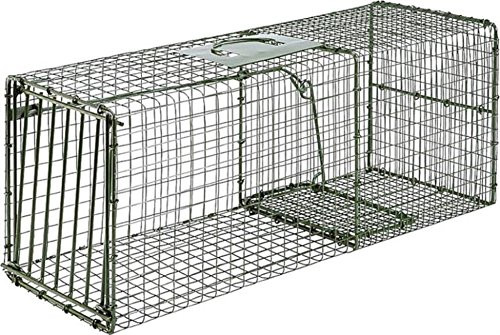 dog trap cage
