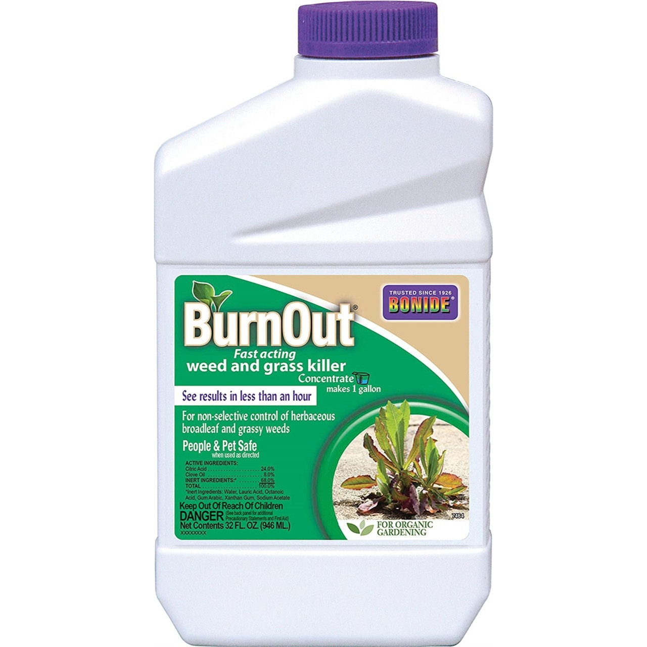 Bonide Burnout Weed And Grass Killer Concentrate Bottle 32 Ounces Esbenshades