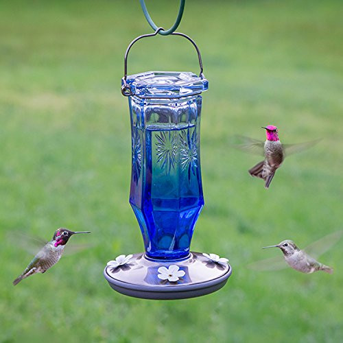 Perky-Pet Starburst Vintage Glass Hummingbird Feeder 8139-2, Blue