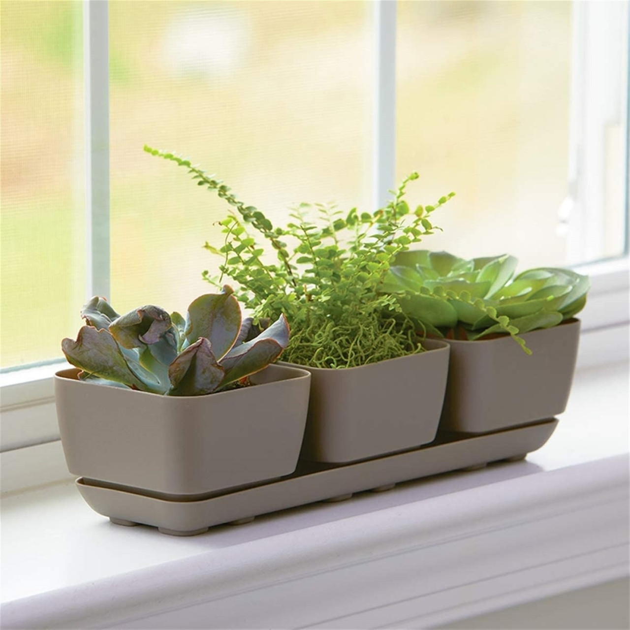 Novelty Herb & Succulent Trio Planter Plastic Flower Pots, 12" - Esbenshades