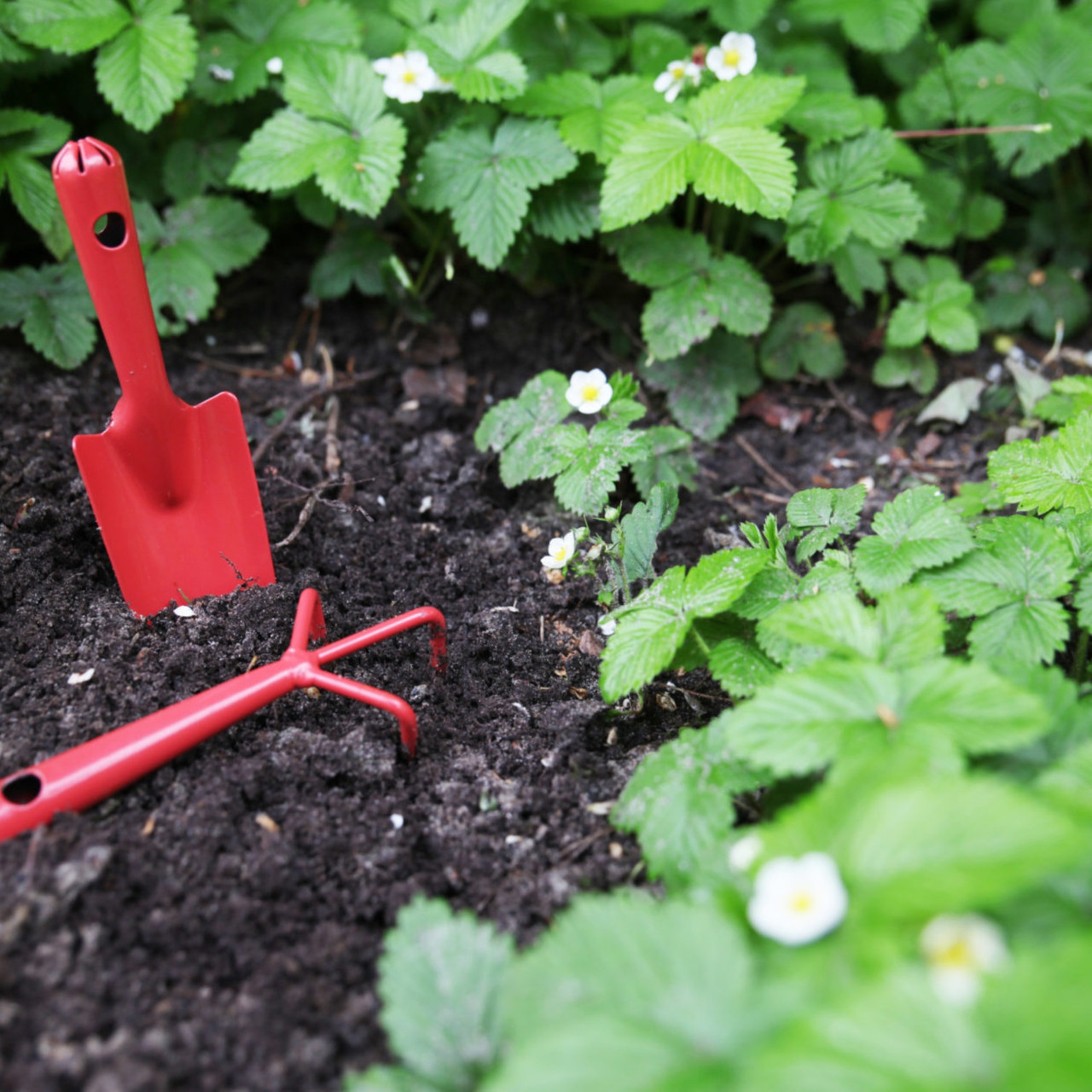 Esschert Steel Garden Fork, Small, Red 6" - Esbenshades