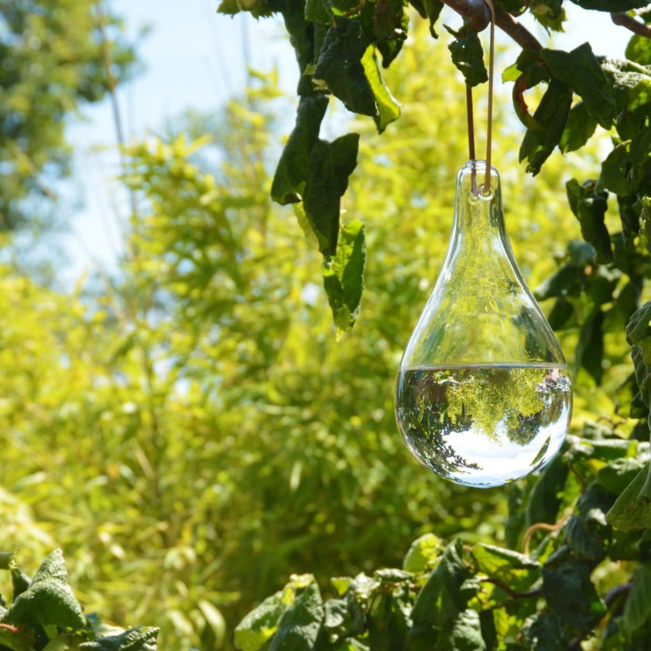 Esschert Design Fly Deterrent Bulb - Thumbnail 2
