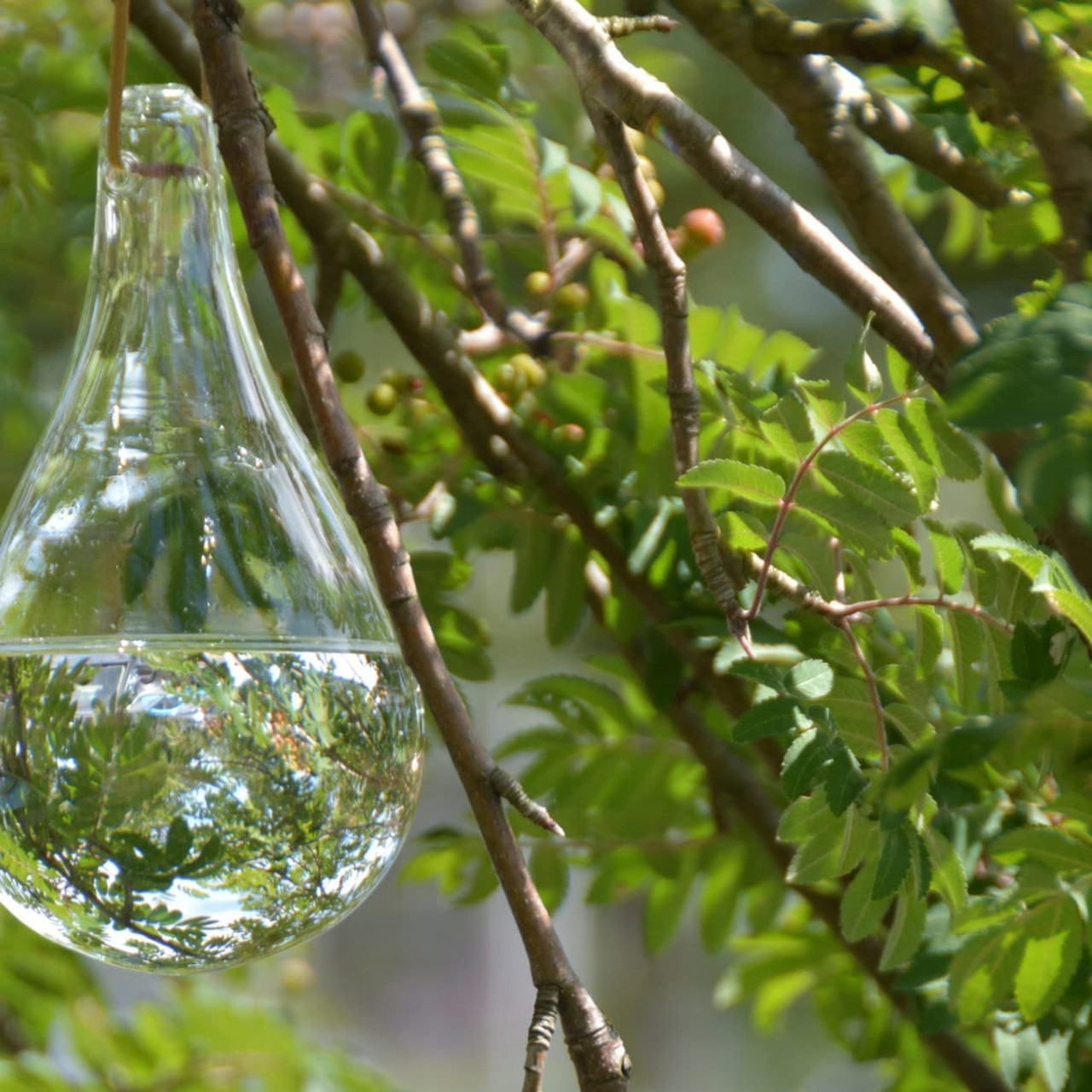 Esschert Design Fly Deterrent Bulb - Thumbnail 3