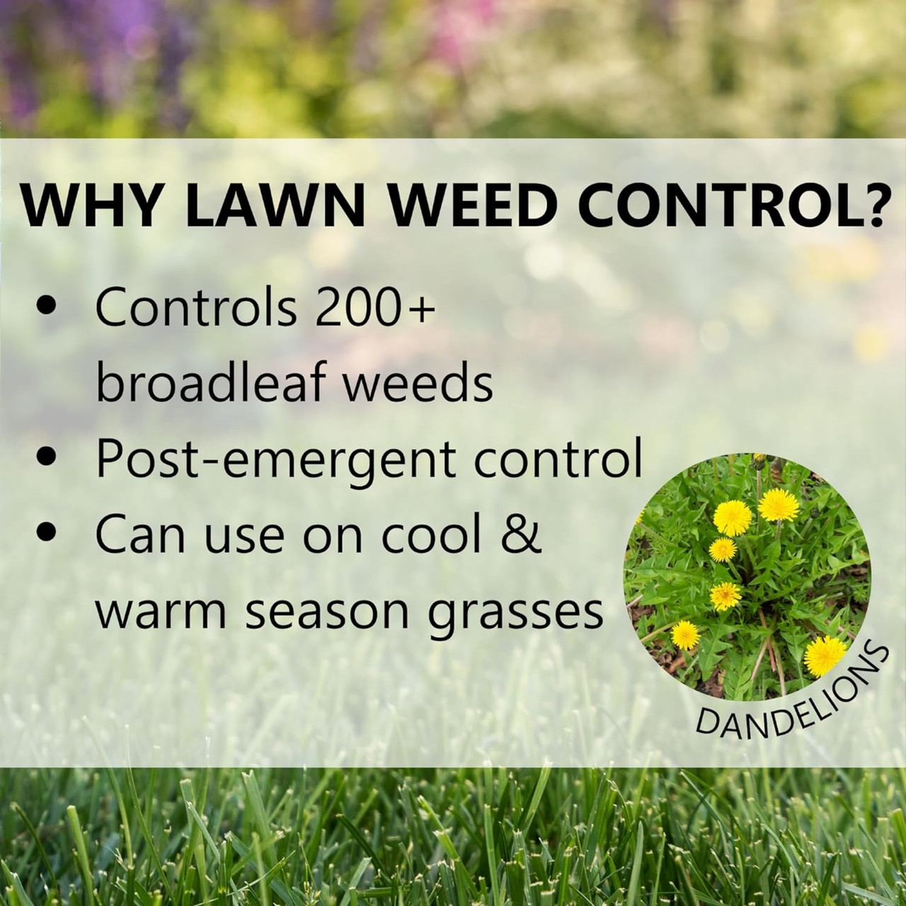 Jonathan Green Lawn Weed Control - Thumbnail 4