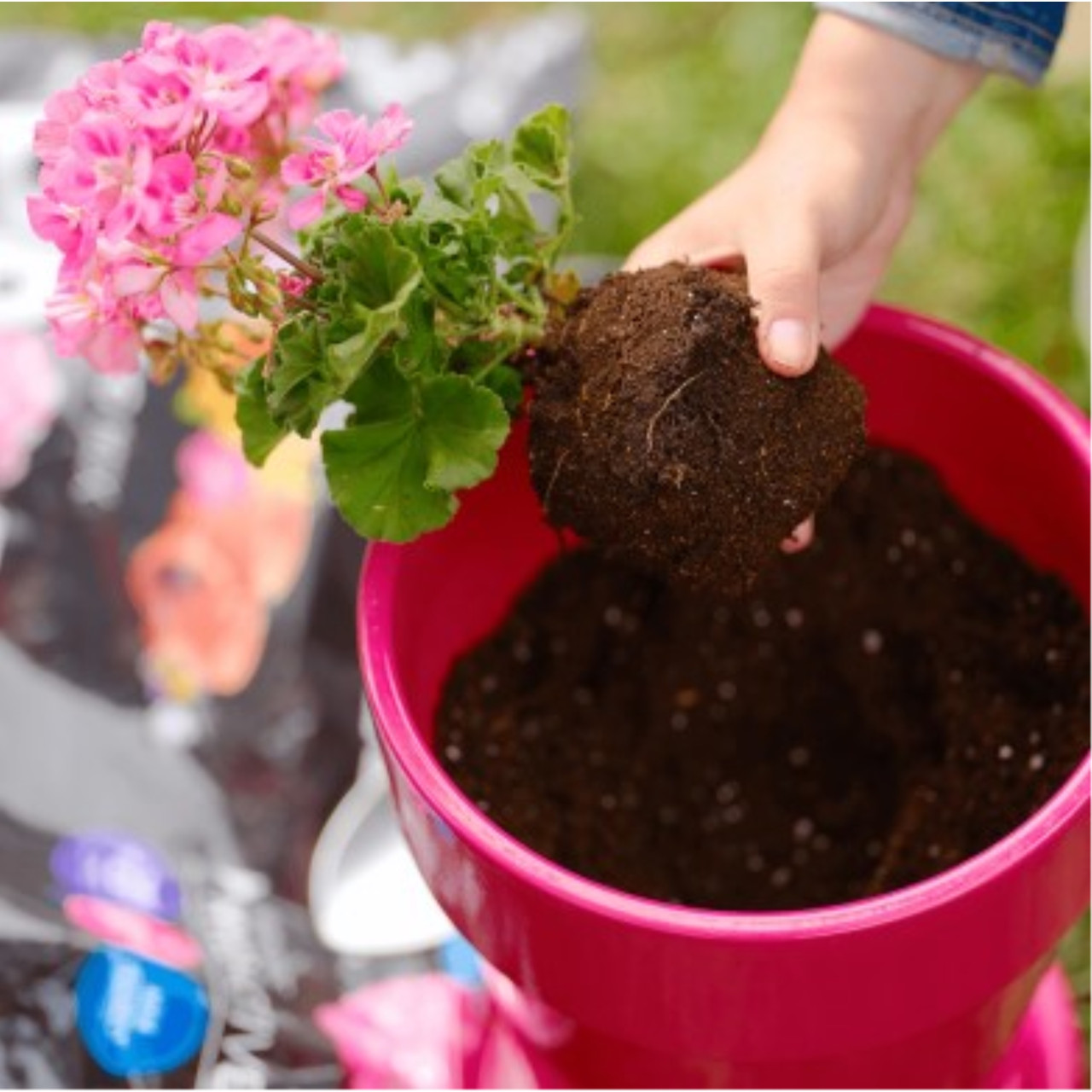 PRO-MIX Potting Mix - Thumbnail 2
