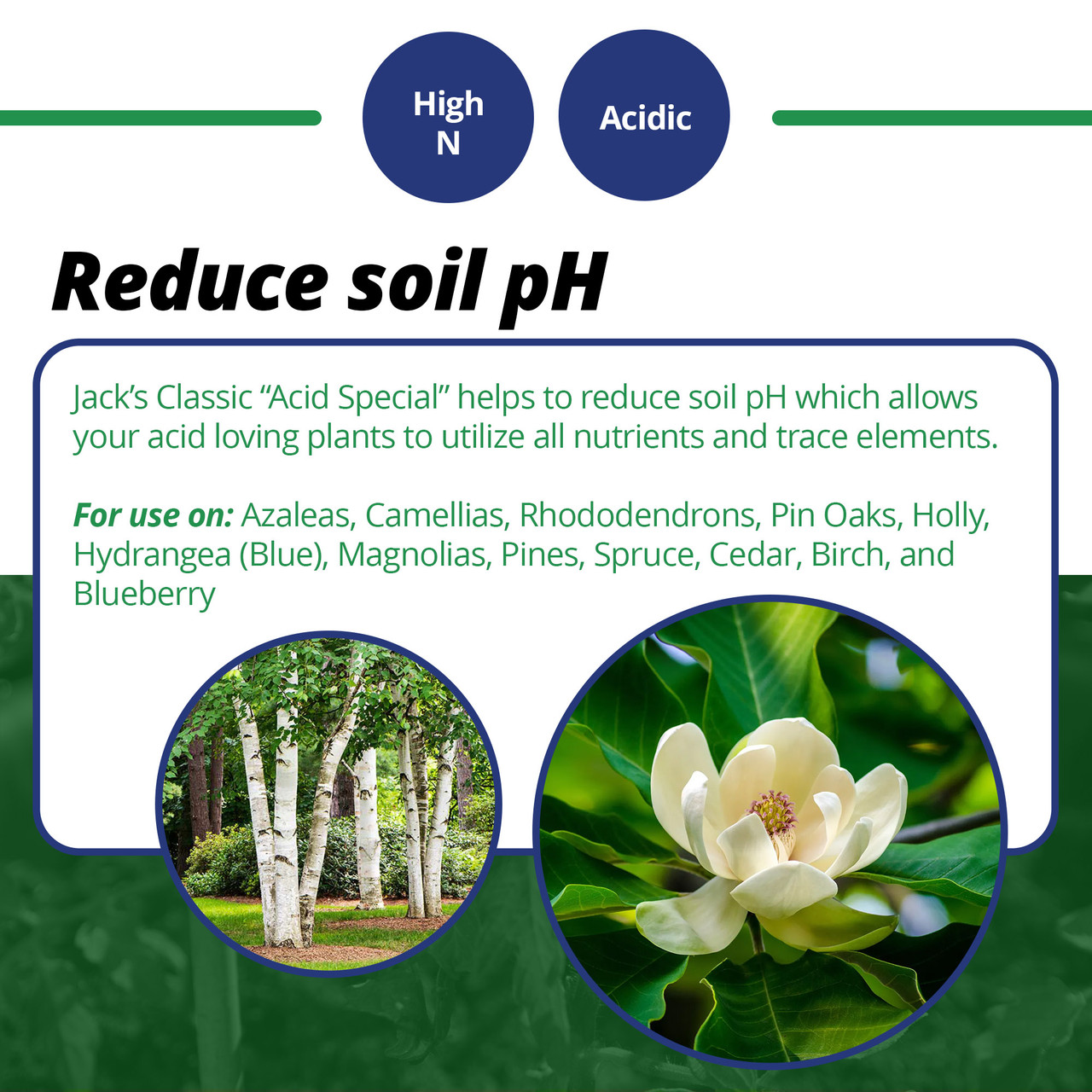 Jack's Fertilizers Acid Special Plant Food - Thumbnail 3