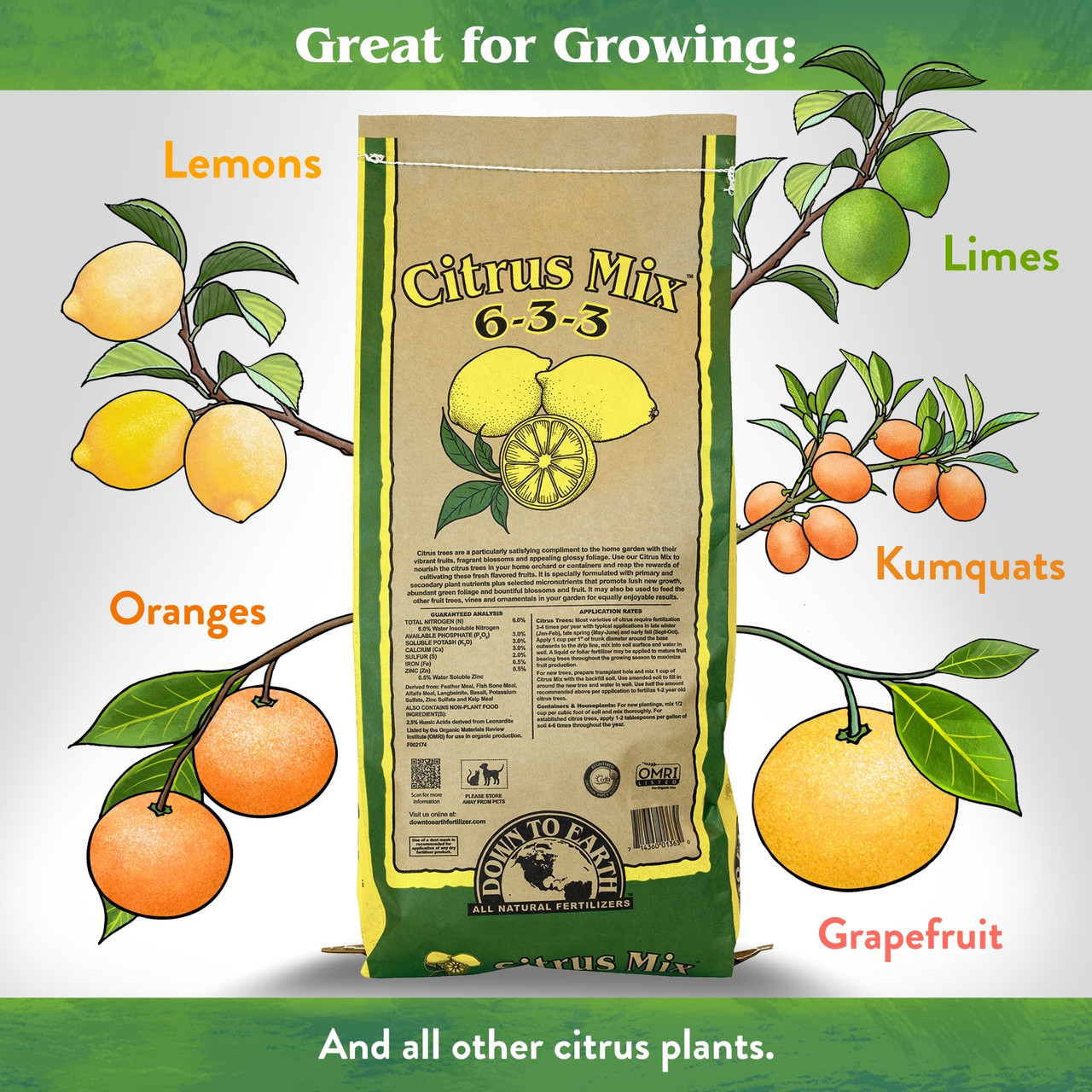 Down To Earth Citrus Fertilizer - Thumbnail 4