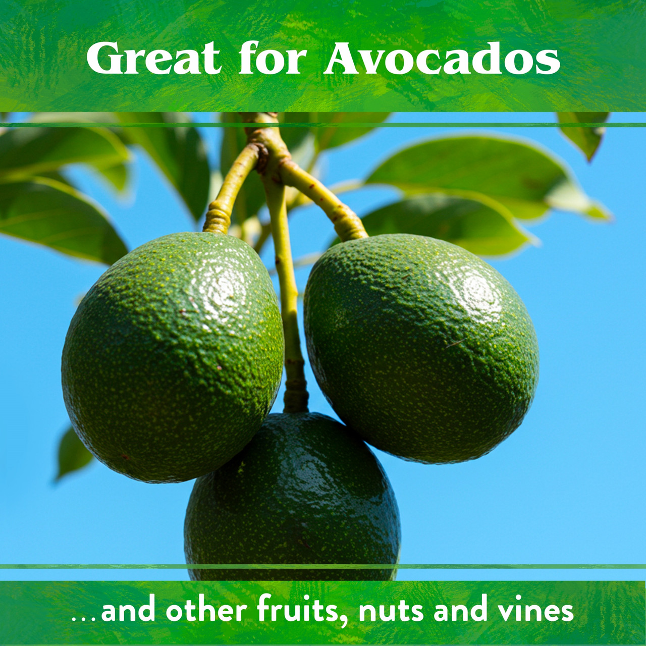 Down To Earth Citrus Fertilizer - Thumbnail 3