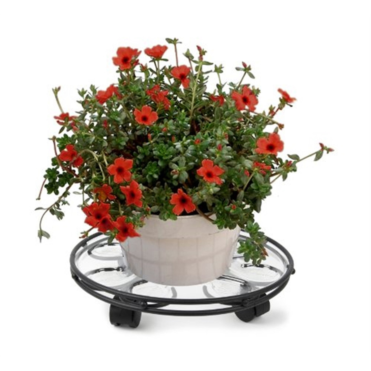 Plastec Steel Frame Caddy