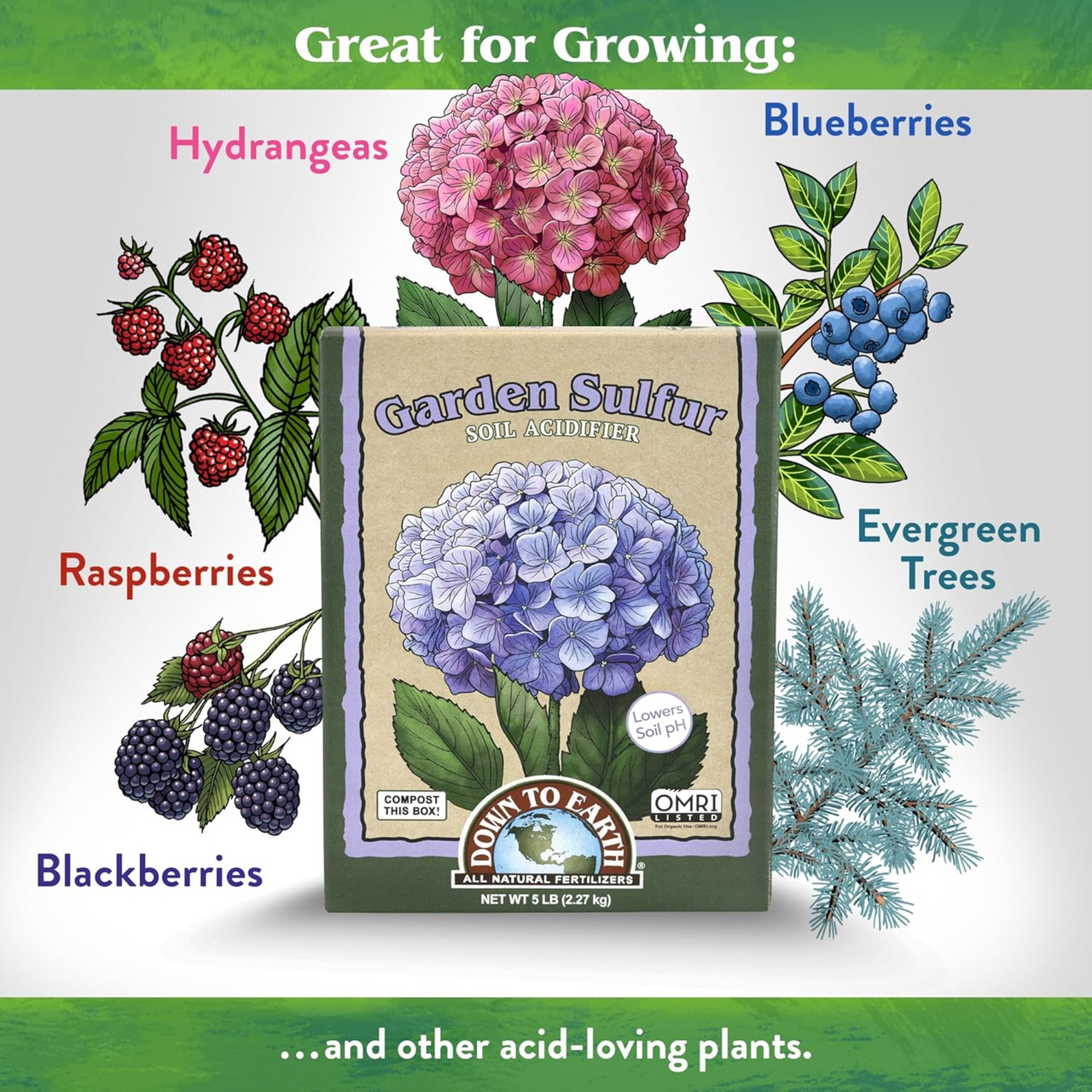 Down to Earth Garden Sulfur Soil Acidifier Amendment - Thumbnail 2