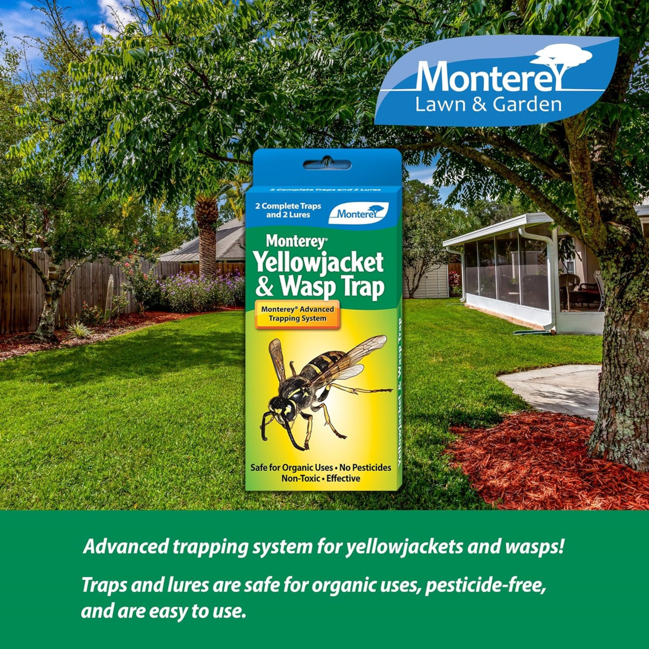 Monterey Yellowjacket & Wasp Traps - Thumbnail 2