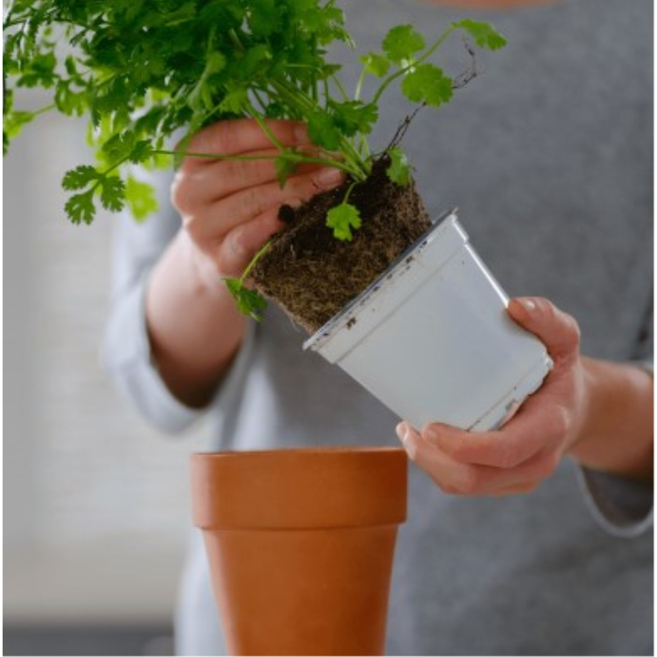 PRO-MIX Organic Vegetable and Herb Soil Mix - Thumbnail 3