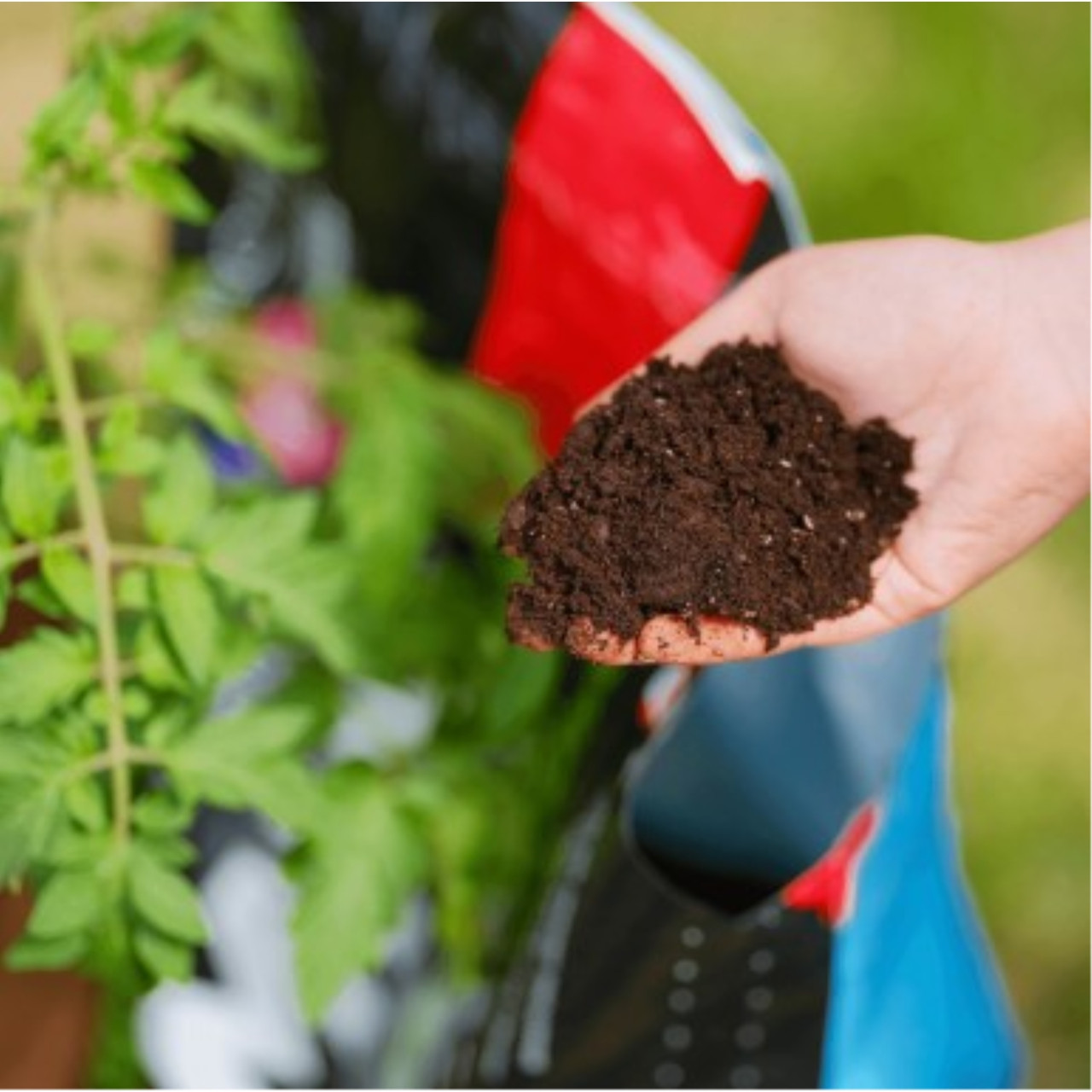 PRO-MIX Organic Vegetable and Herb Soil Mix - Thumbnail 4