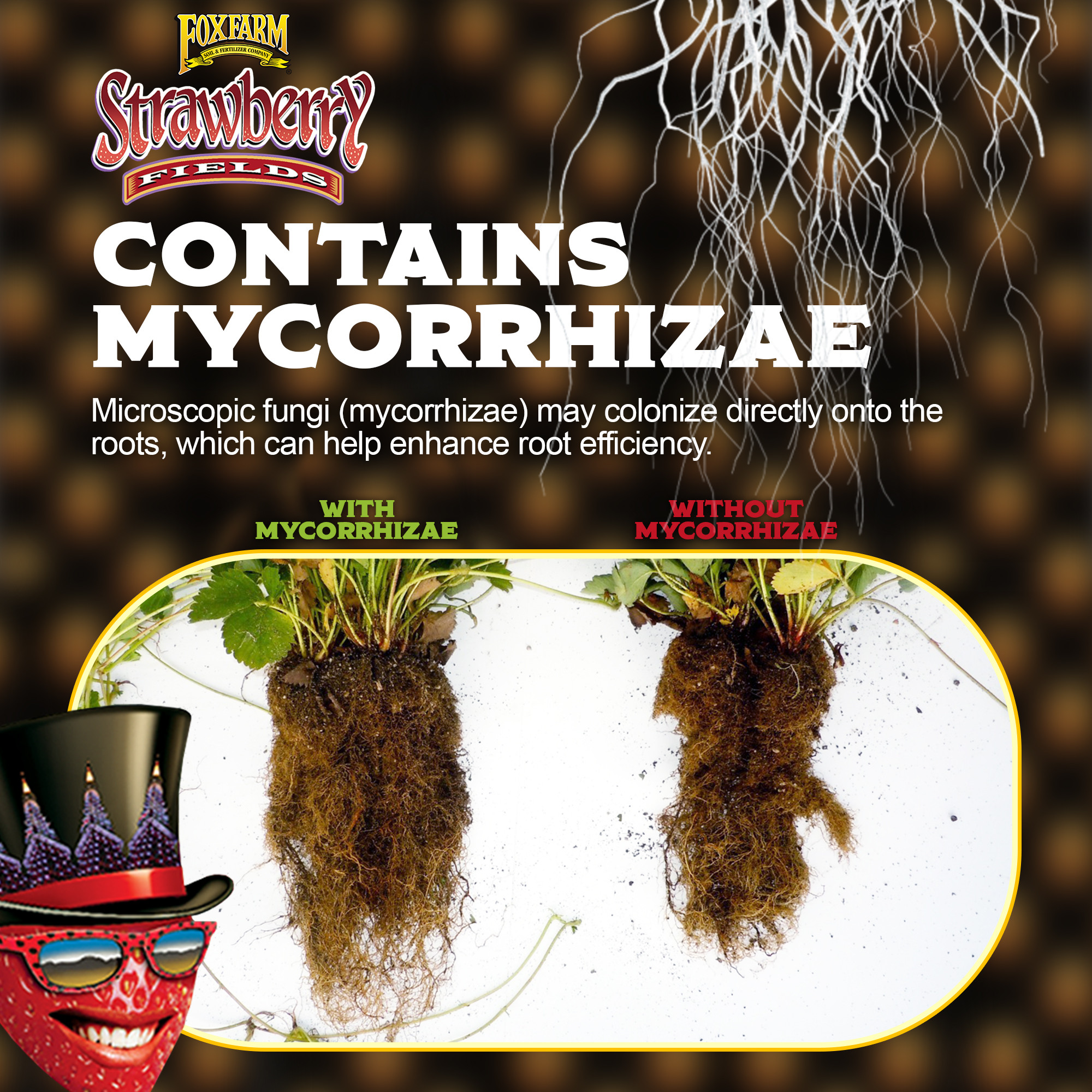 FoxFarm Strawberry Fields Fruiting & Flowering Potting Soil, 1.5cu