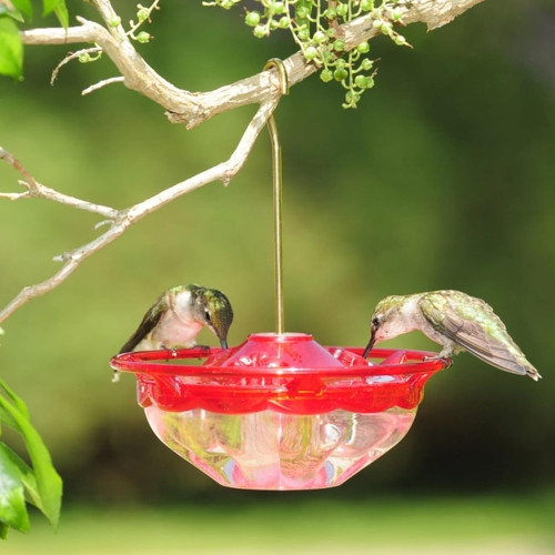 Aspects HummZinger HummBlossom Nectar Bird Feeder — 3 Feeding Ports — 4oz Capacity