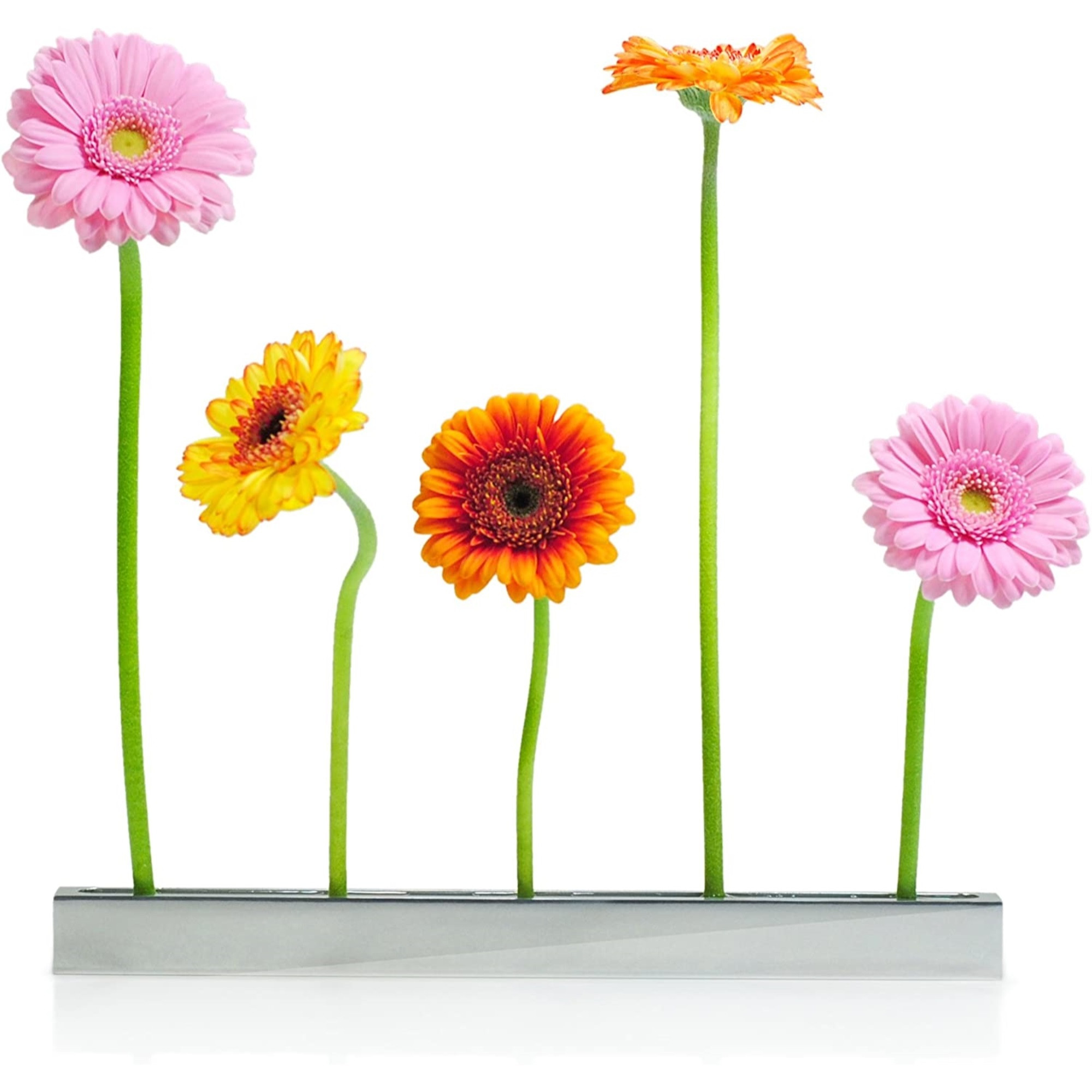 XXD Boulevard Blumenallee Polished Aluminum Flower Vase, Floating Stems, 11.6"