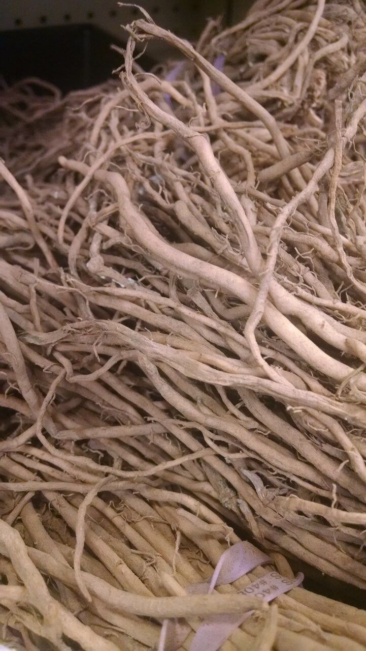 Jersey Knight Asparagus - Bare Root