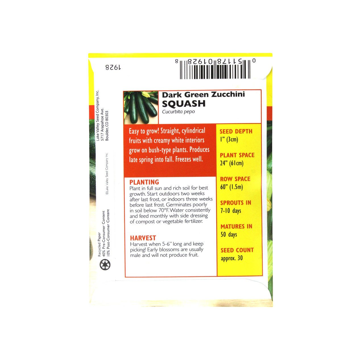 Squash - Dark Green Zucchini