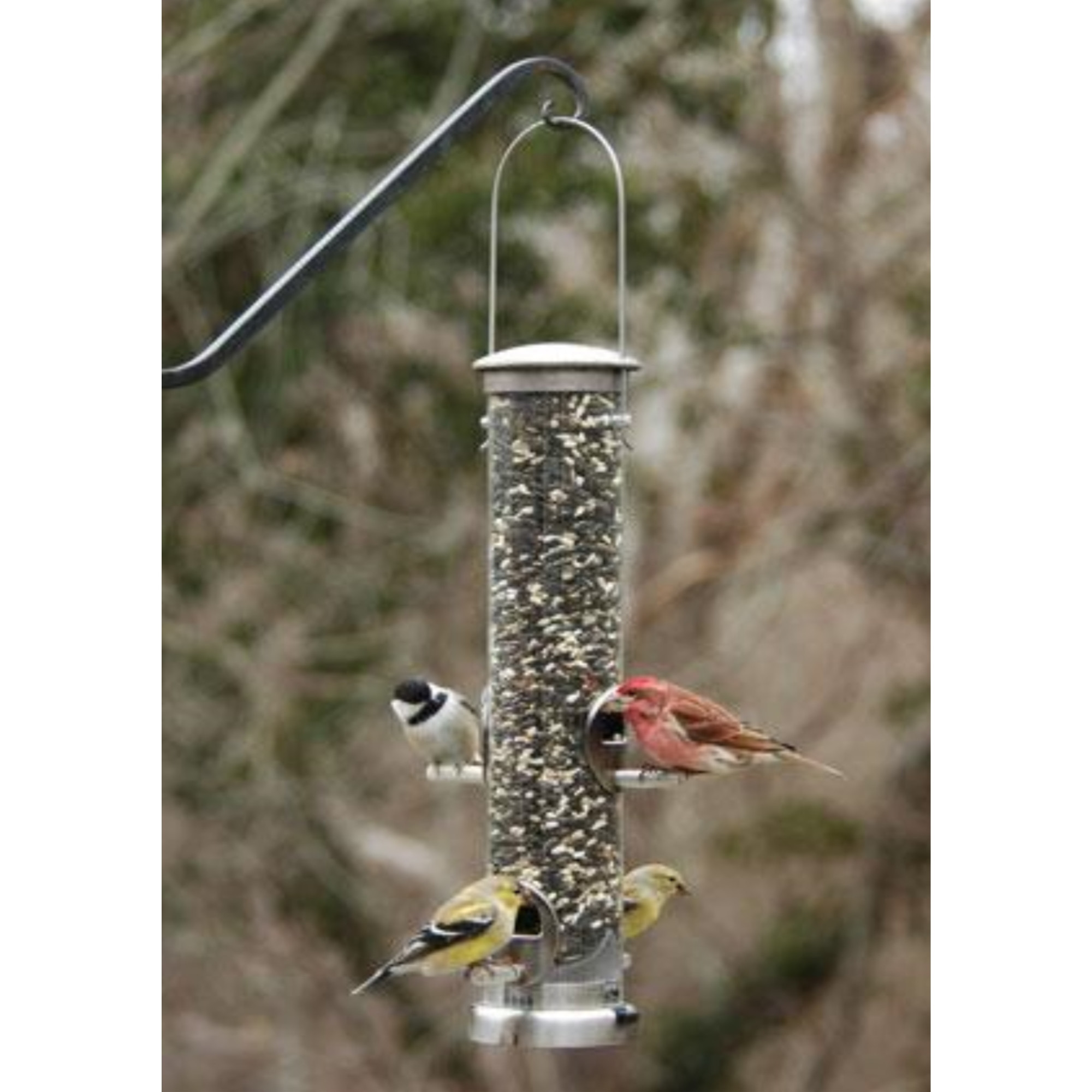 Aspects Quick-Clean Medium Seed Tube Feeder — Brushed Nickel Finish — 1 Qt Capacity