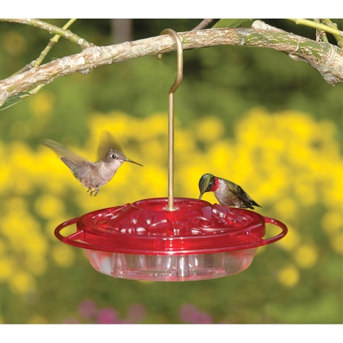 Aspects Little Fancy Red Hummingbird Feeder — 3 Feeding Ports & Ant Moat — 8 oz
