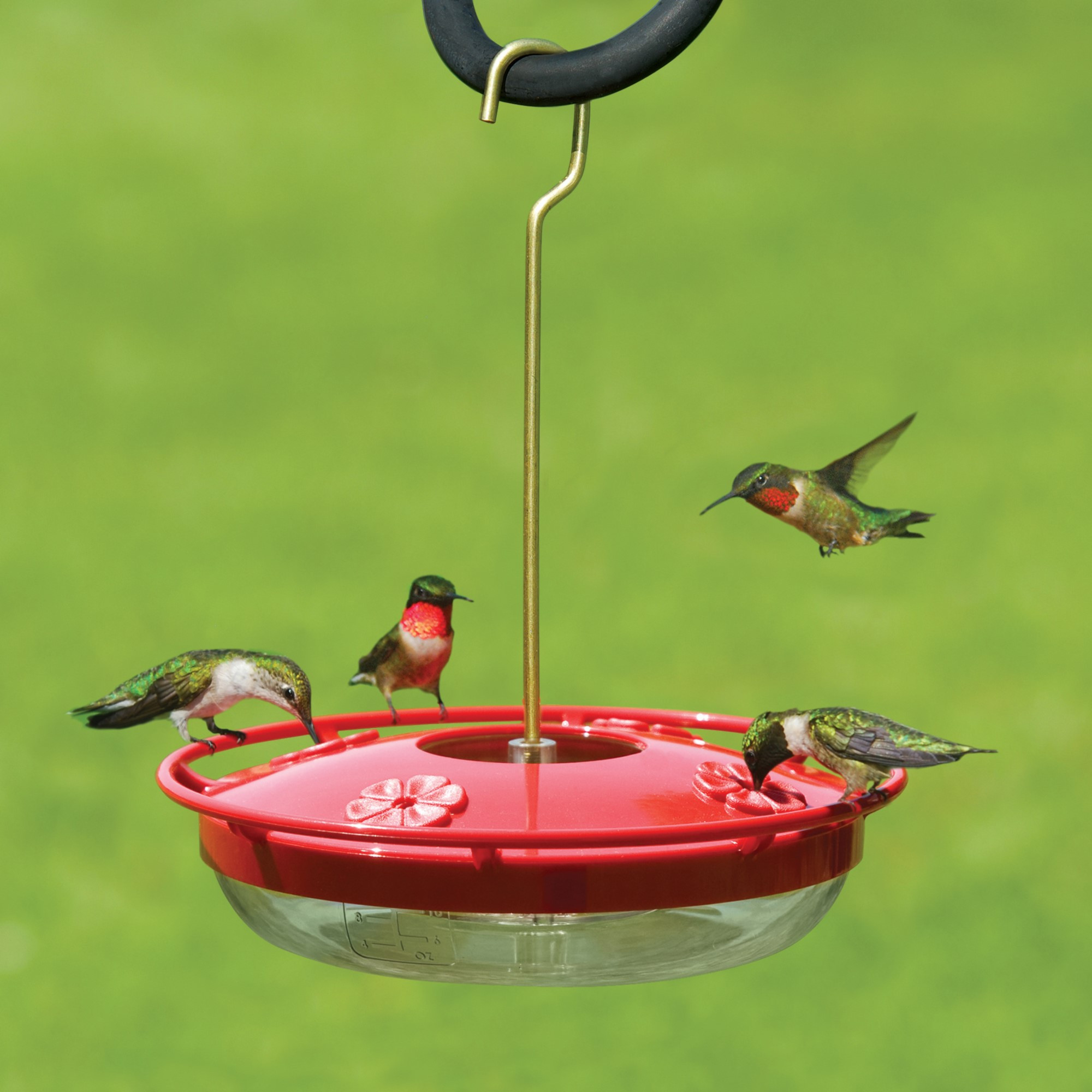 Aspects HummZinger HighView Nectar Bird Feeder with 4 Feeding Ports, 12oz Capacity