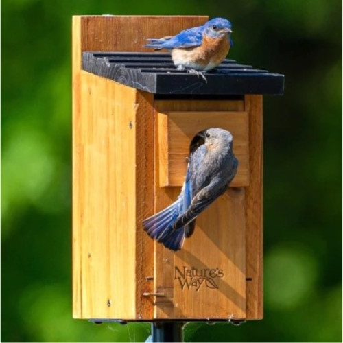 Nature's Way Cedar Bluebird Box House — Weather-Resistant Nesting Box —  Easy Clean, 12"