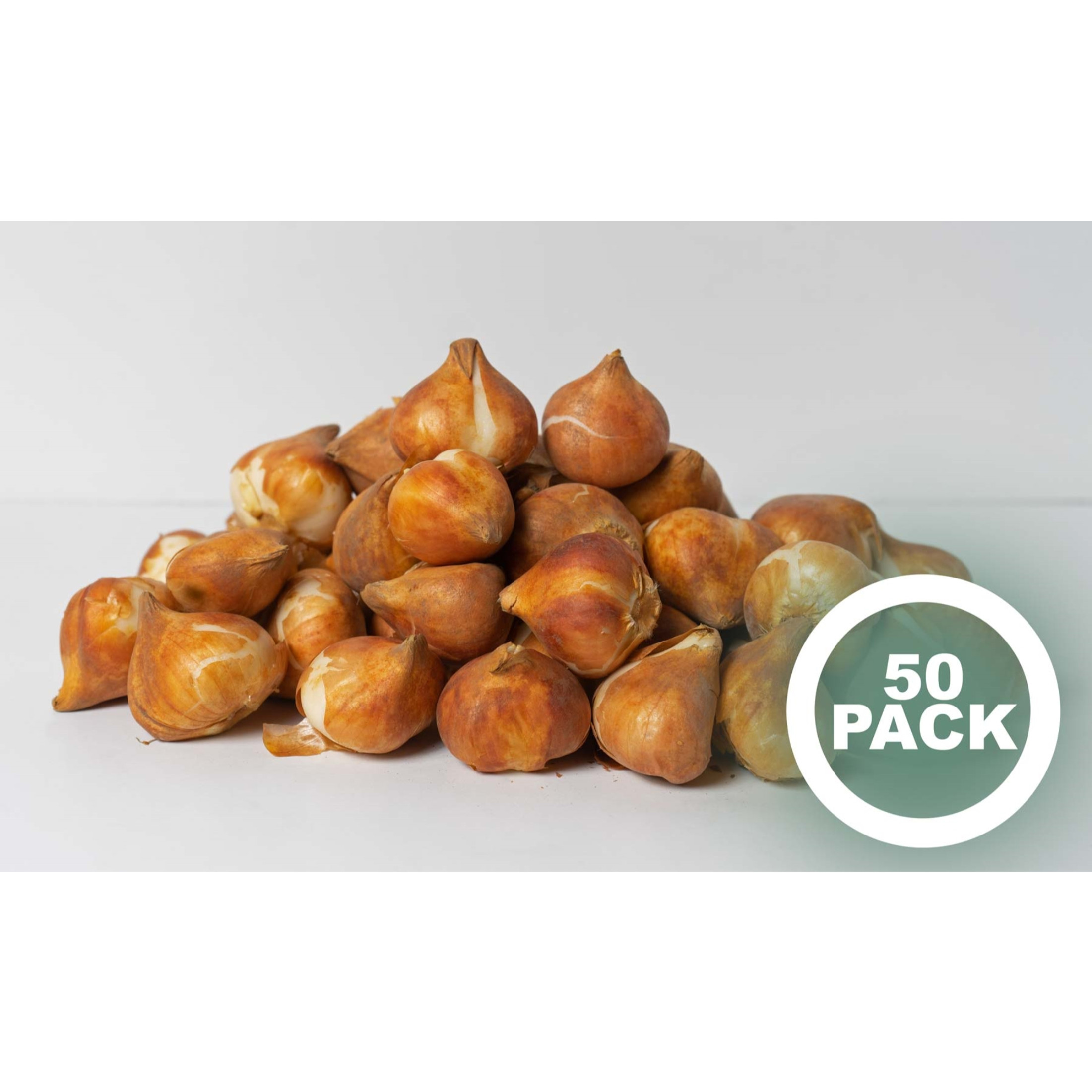 Garden Elements Spring Blooming Bulbs – Darwin Tulip, Red Impression – 50 Pack Garden Elements Spring Blooming Bulbs – Darwin Tulip, Red Impression – 50 Pack