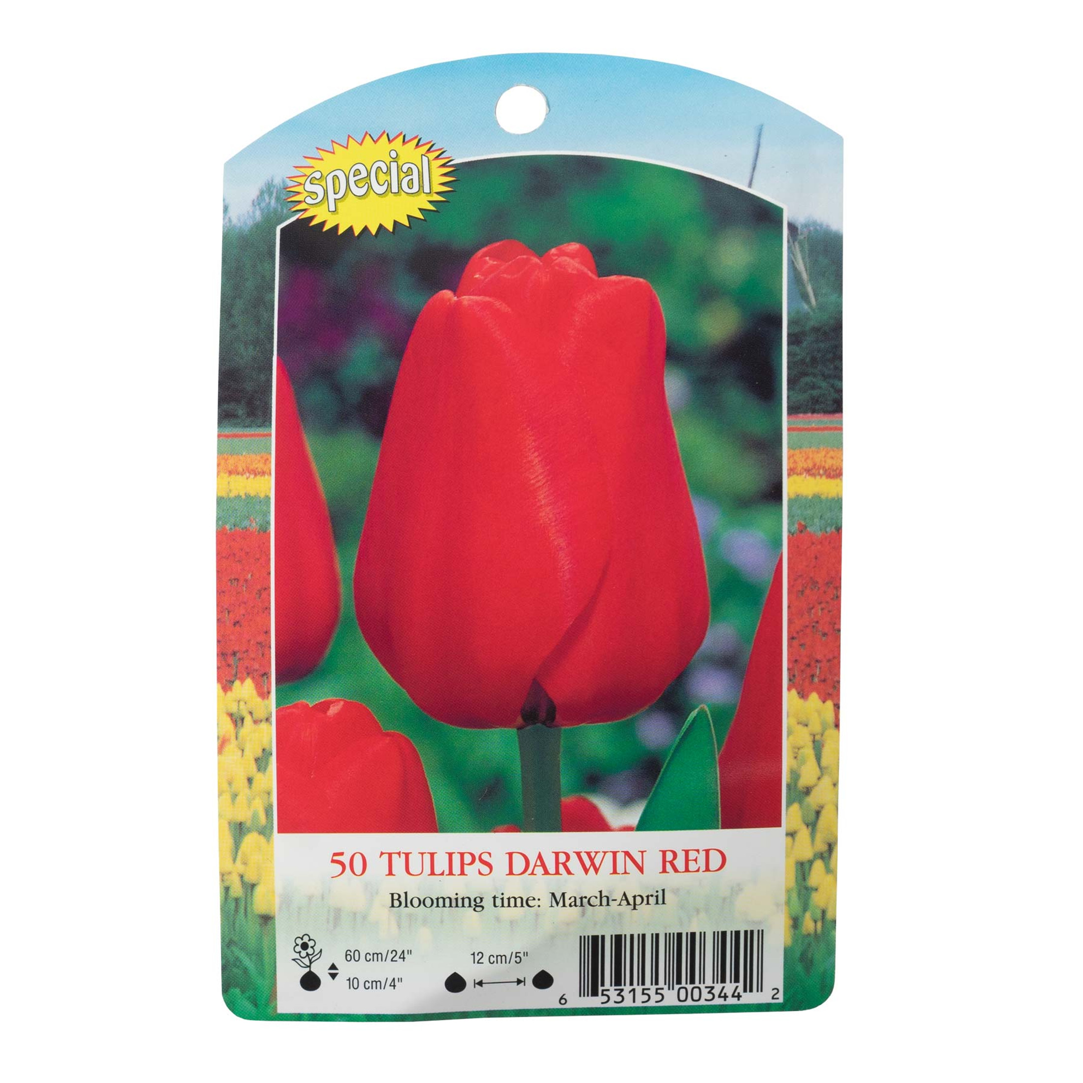 Garden Elements Spring Blooming Bulbs – Darwin Tulip, Red Impression – 50 Pack Garden Elements Spring Blooming Bulbs – Darwin Tulip, Red Impression – 50 Pack