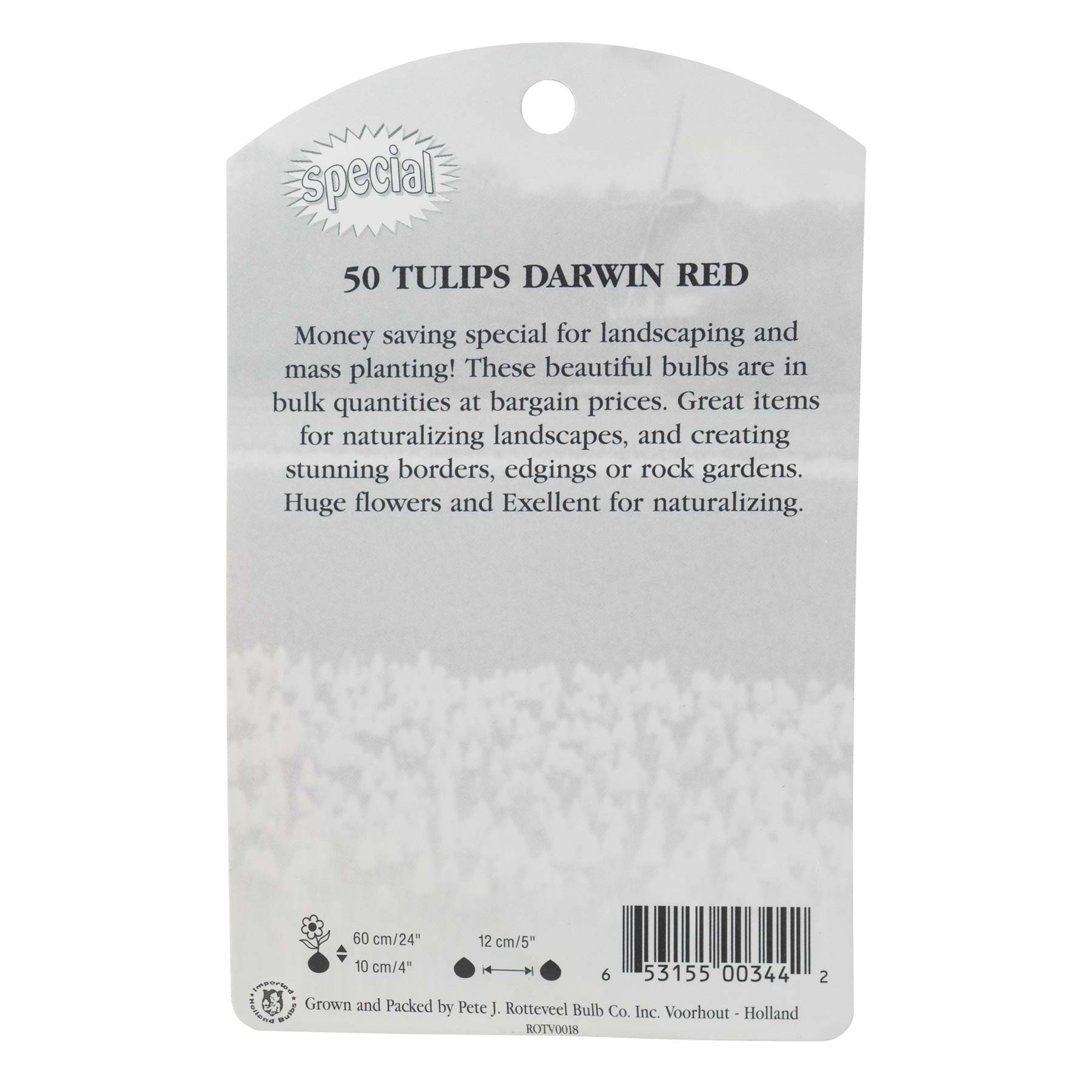 Garden Elements Spring Blooming Bulbs – Darwin Tulip, Red Impression – 50 Pack Garden Elements Spring Blooming Bulbs – Darwin Tulip, Red Impression – 50 Pack