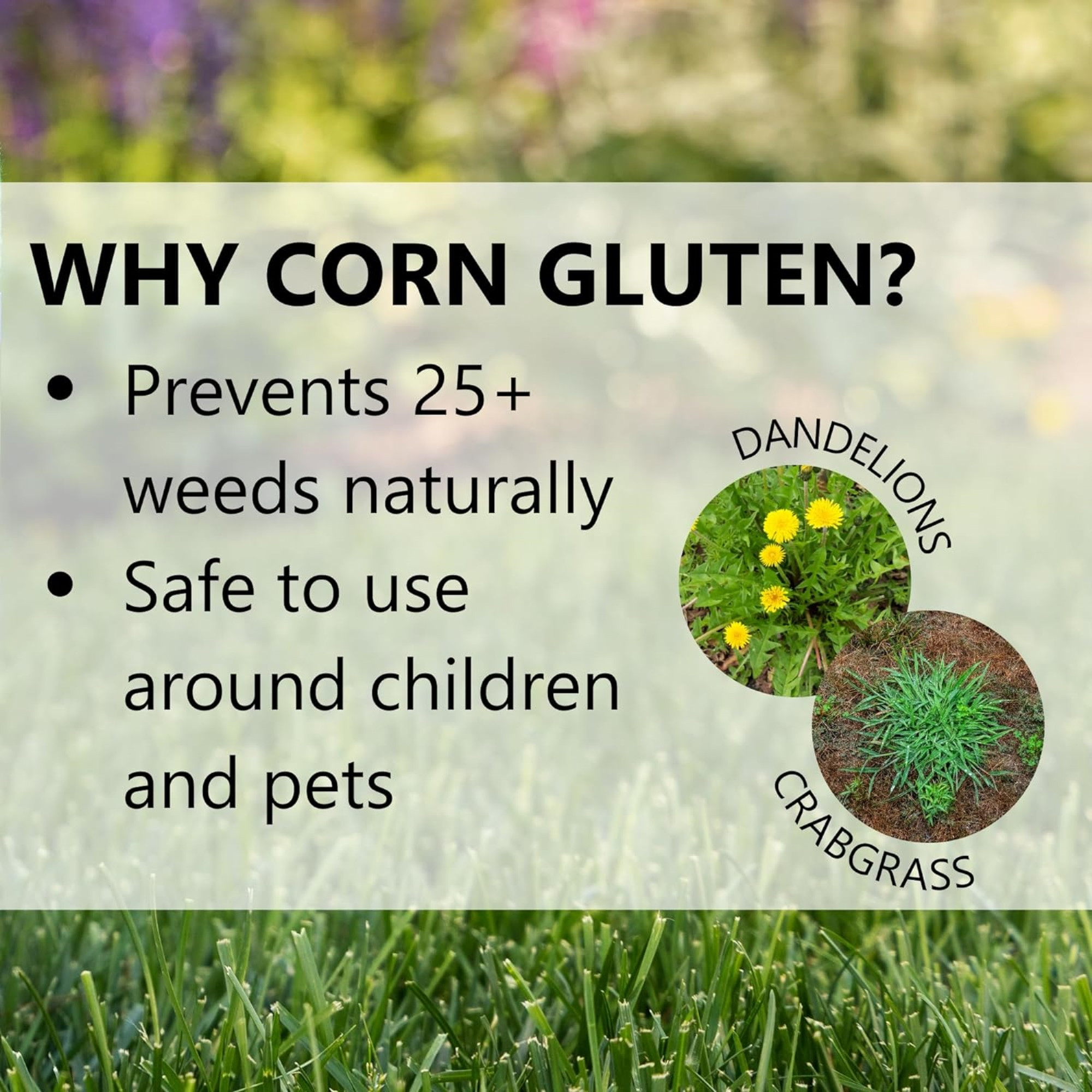 Jonathan Green Corn Gluten Weed Preventer Plus Lawn Food, 15lb, 5,000 sq ft