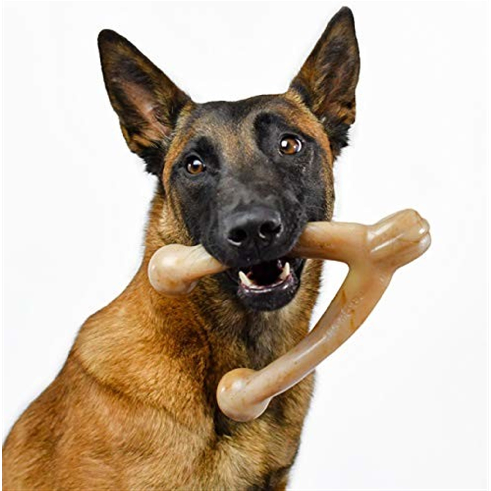 Pet Qwerks Wish BarkBone For Aggressive Chewers, Bacon Flavor, Size L