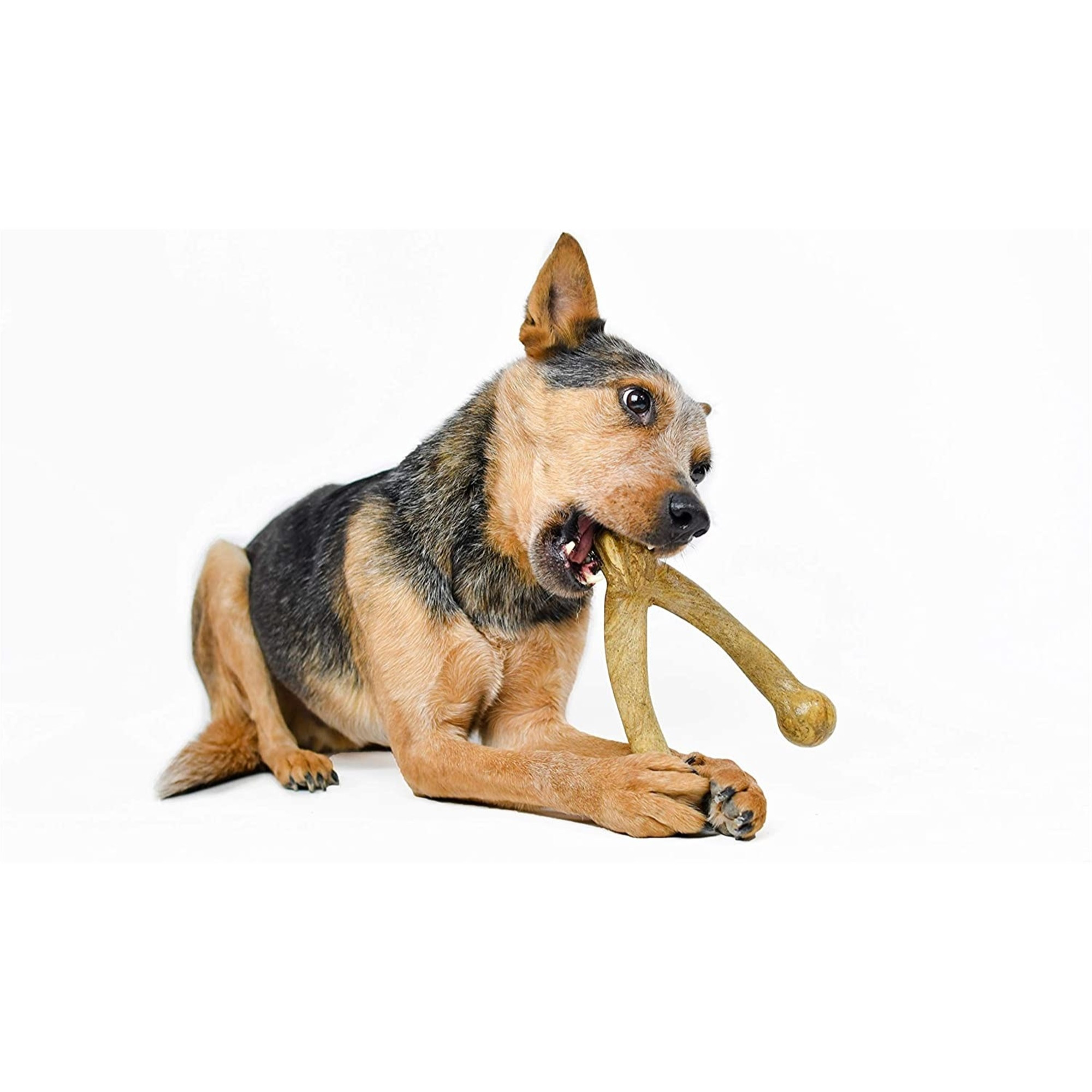 Pet Qwerks Wish BarkBone For Aggressive Chewers, Bacon Flavor, Size L