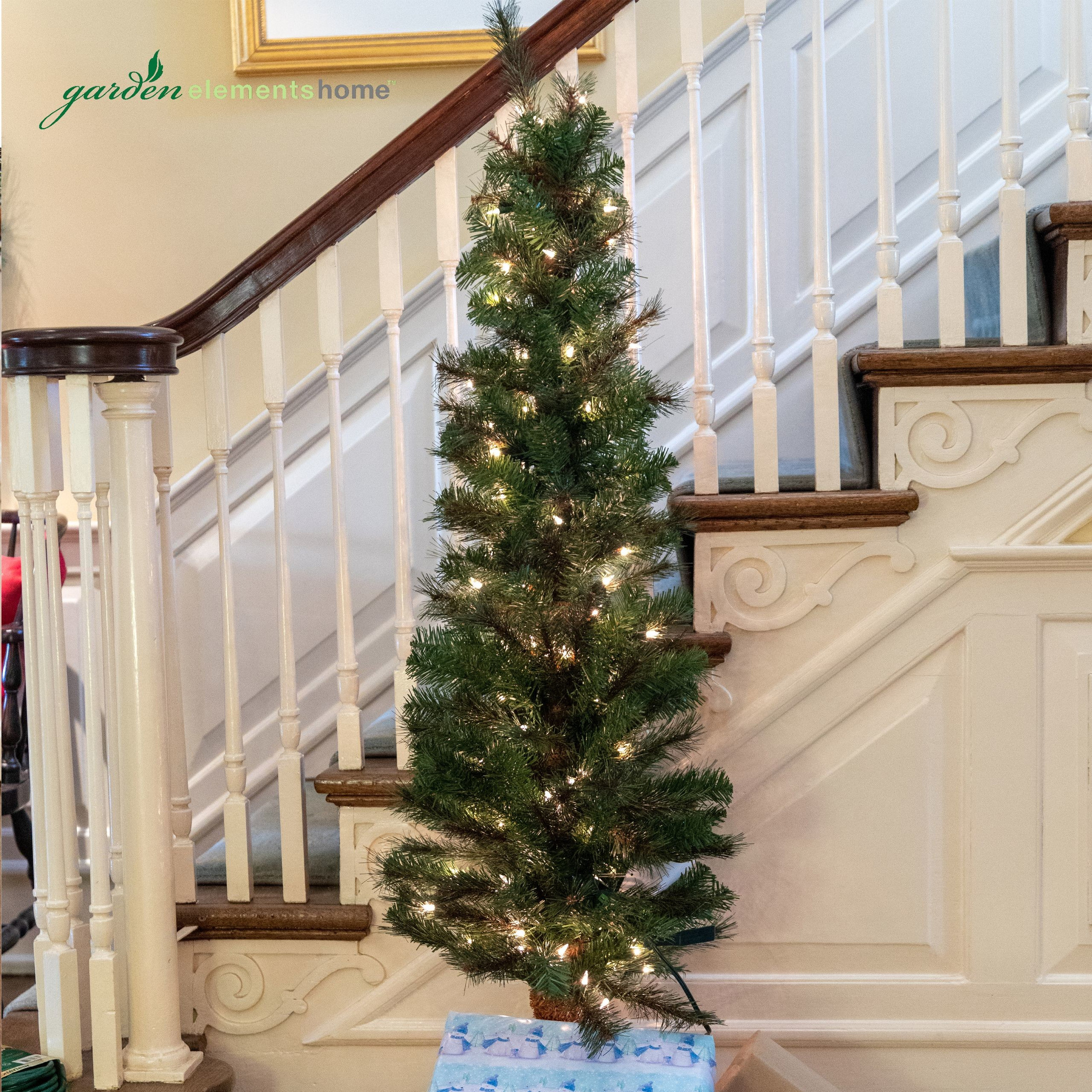 Garden Elements Artificial Pre-Lit Western Pine Pencil Christmas Tree, 248 Tips, 100 Clear Lights, 5 ft