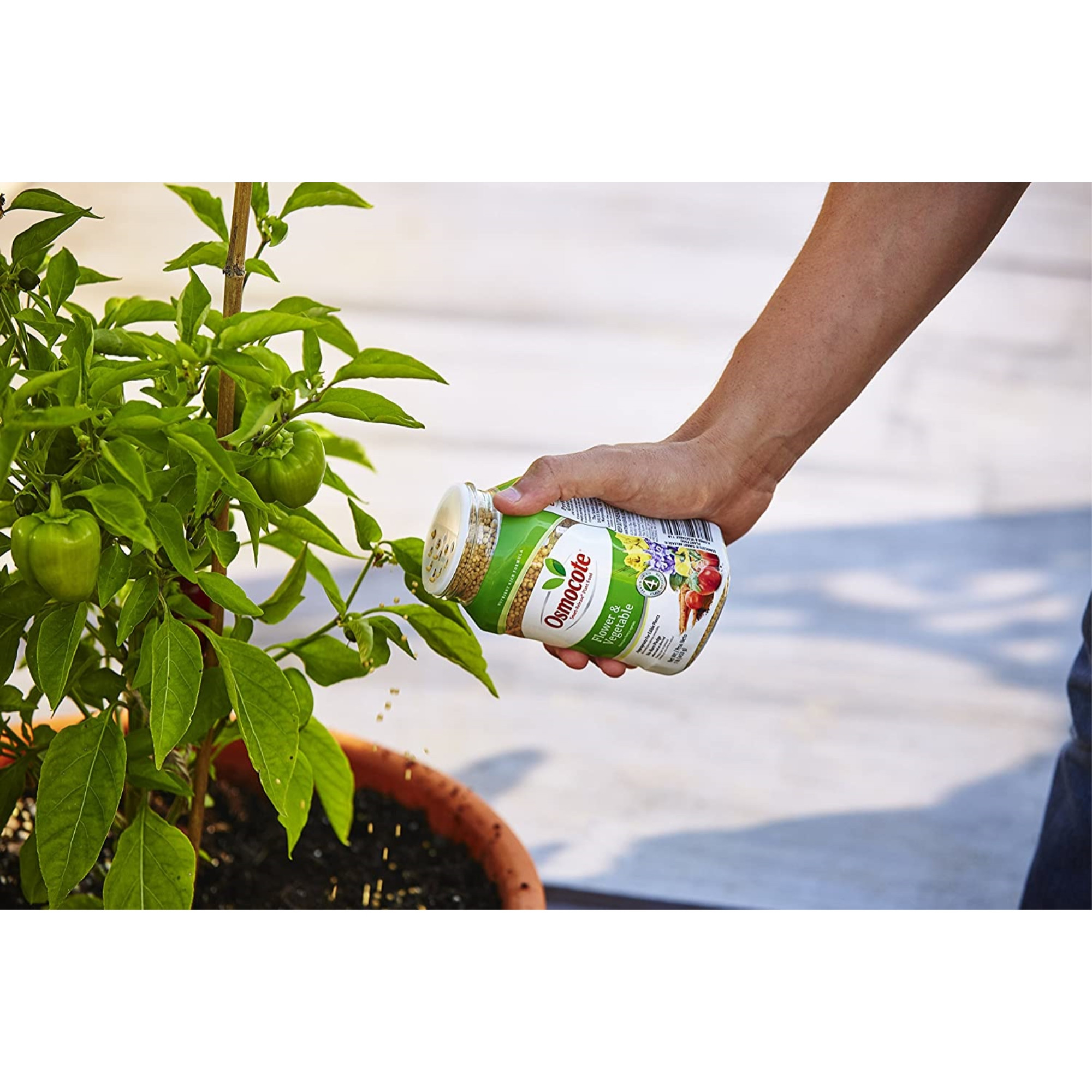 Scotts Osmocote Flower and Vegetable Smart-Release Plant Food, 1lbs