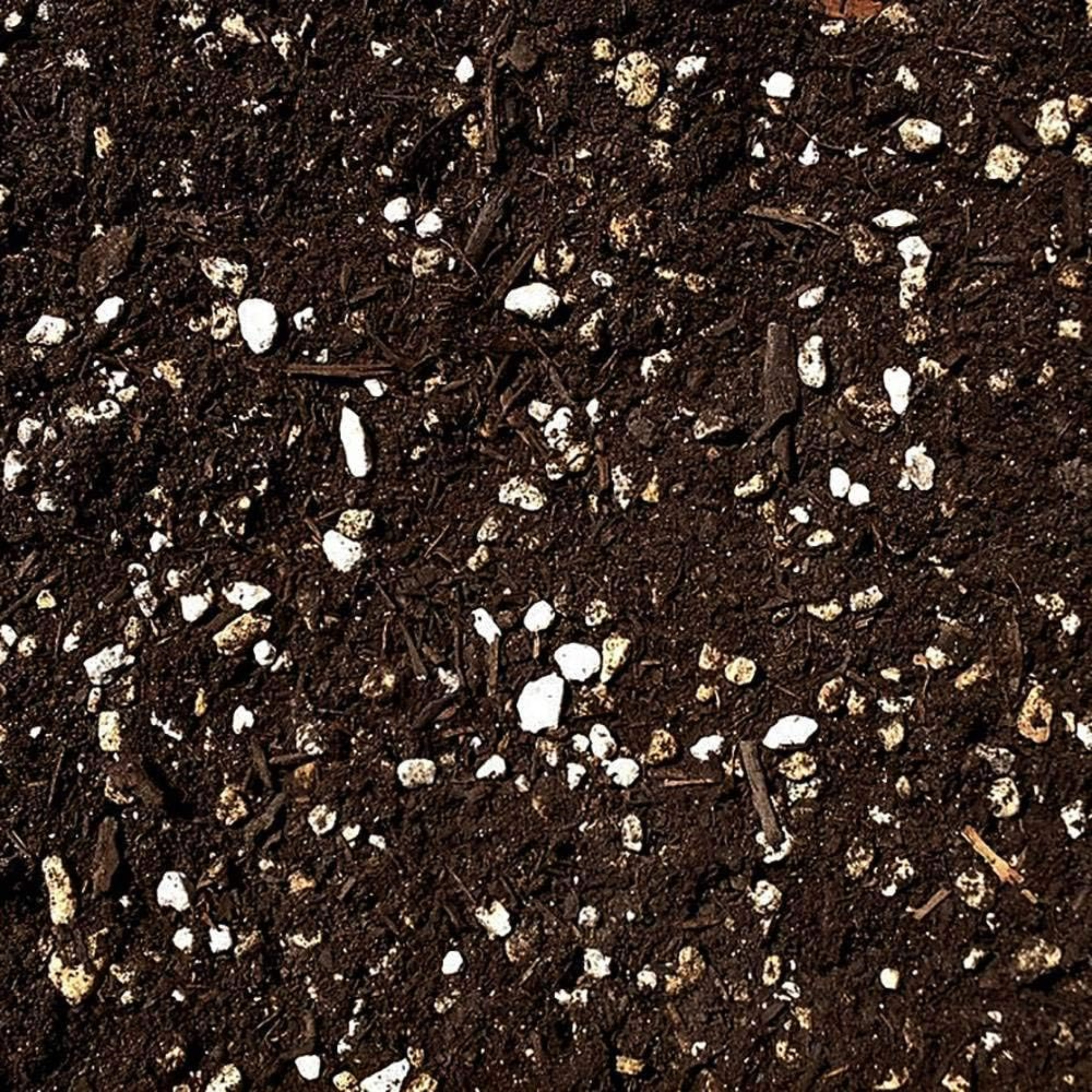 Roots Organics Formula 707 Ready-to-Use Soil, 1.5 cu ft Roots Organics Formula 707 Ready-to-Use Soil, 1.5 cu ft