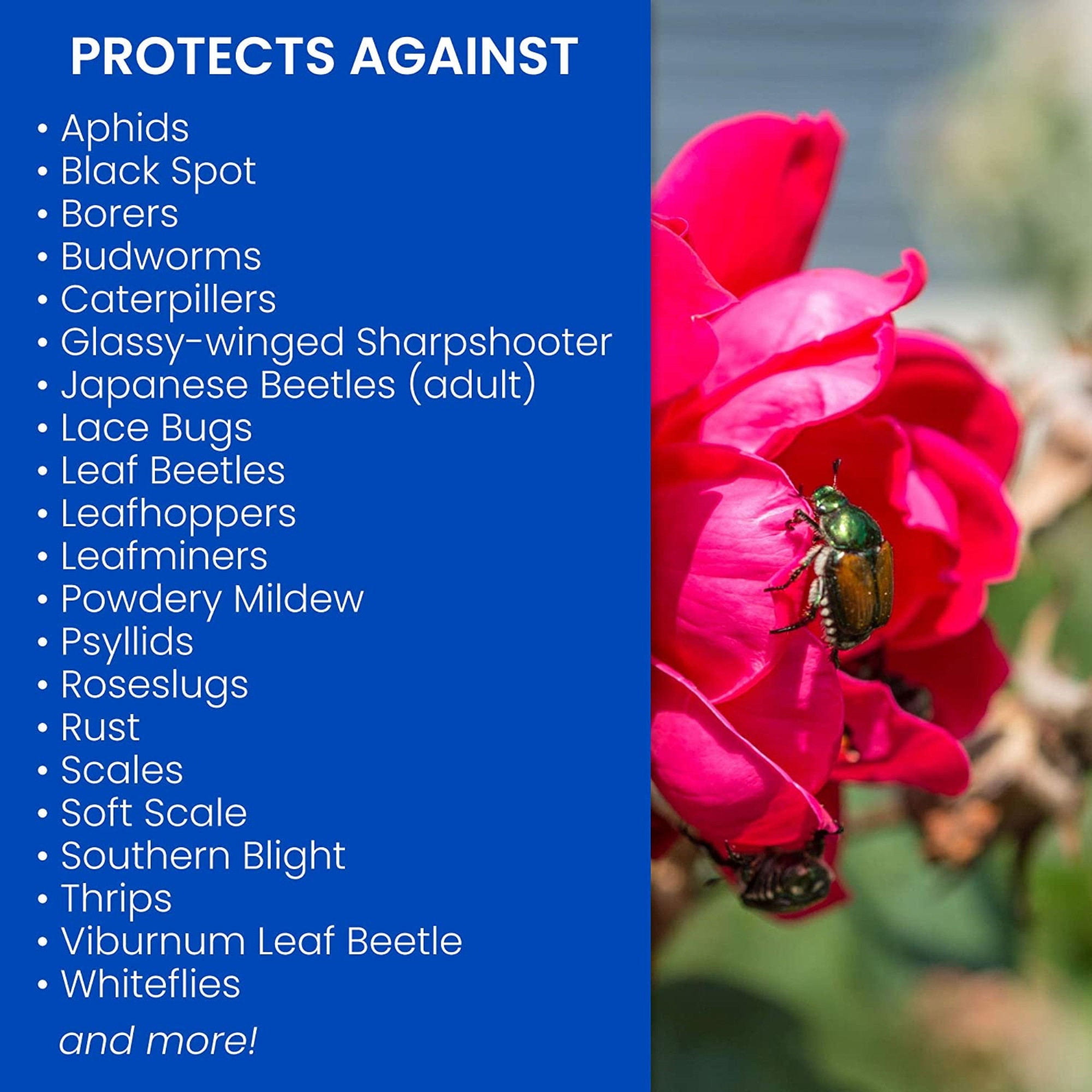 BioAdvanced All-In-One Rose and Flower Care Granuels, 4 LB