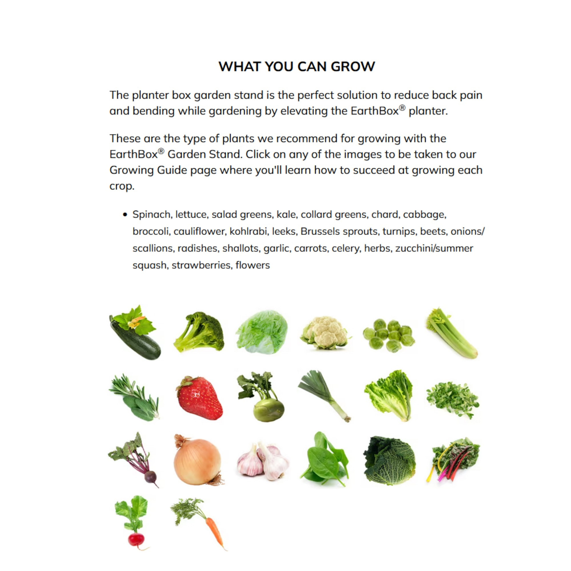 EarthBox Original Garden Stand – Elevated Metal Stand for Original EarthBox System, Green, 29.5" x 14" x 27" EarthBox Original Garden Stand – Elevated Metal Stand for Original EarthBox System, Green, 29.5" x 14" x 27"