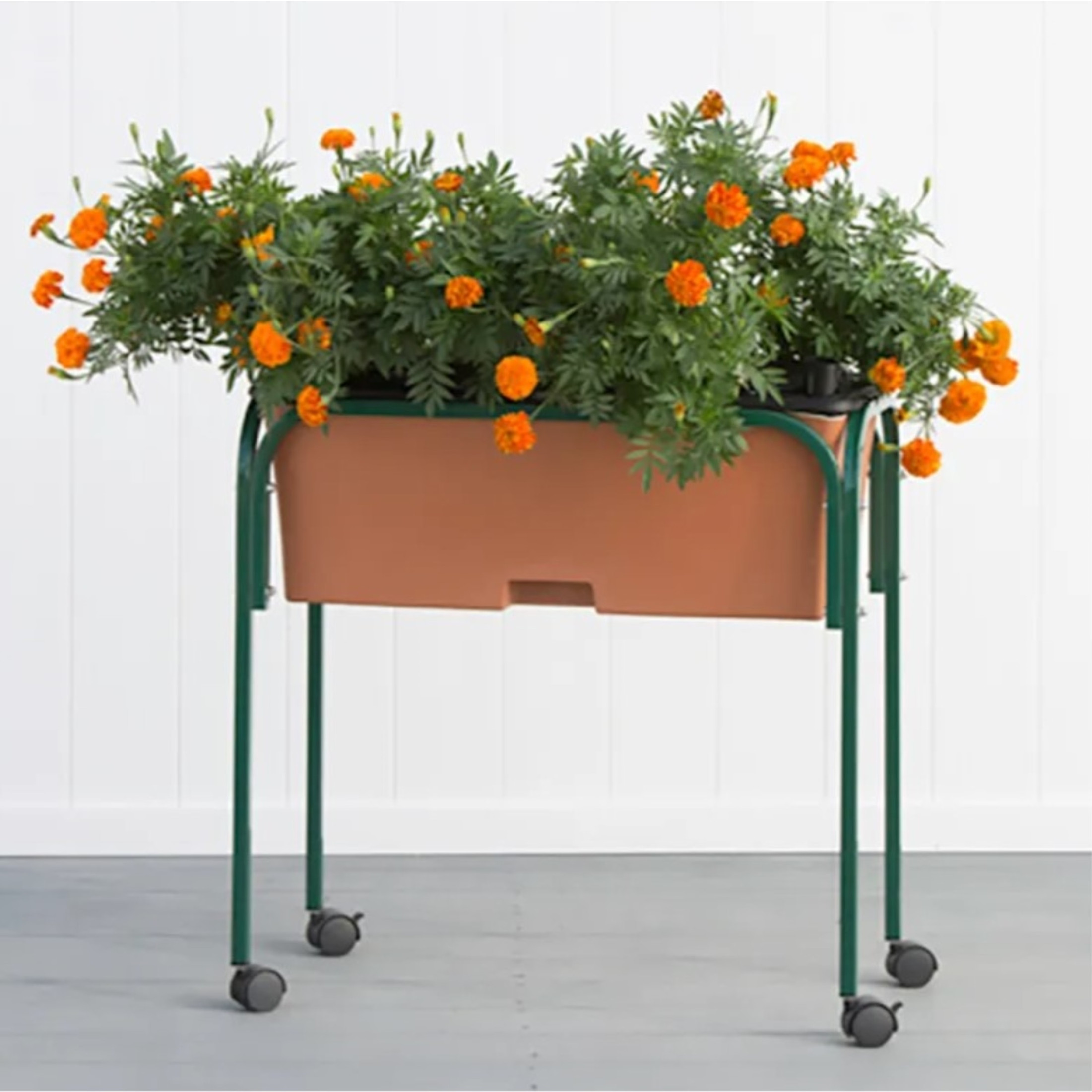 EarthBox Original Garden Stand – Elevated Metal Stand for Original EarthBox System, Green, 29.5" x 14" x 27" EarthBox Original Garden Stand – Elevated Metal Stand for Original EarthBox System, Green, 29.5" x 14" x 27"