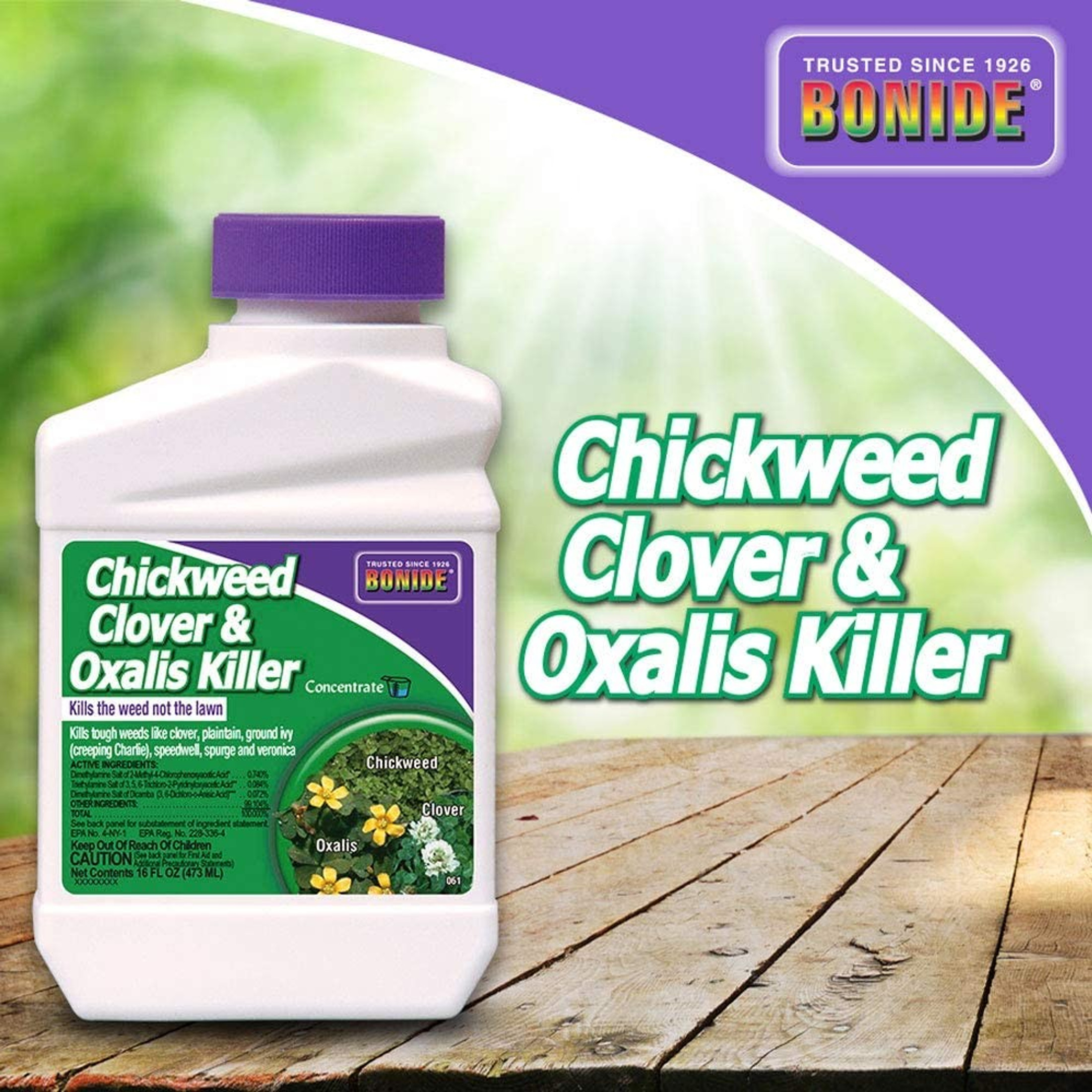 Bonide (#BND061) Chickweed, Clover and Oxalis Weed Killer Concentrate (16 oz.)