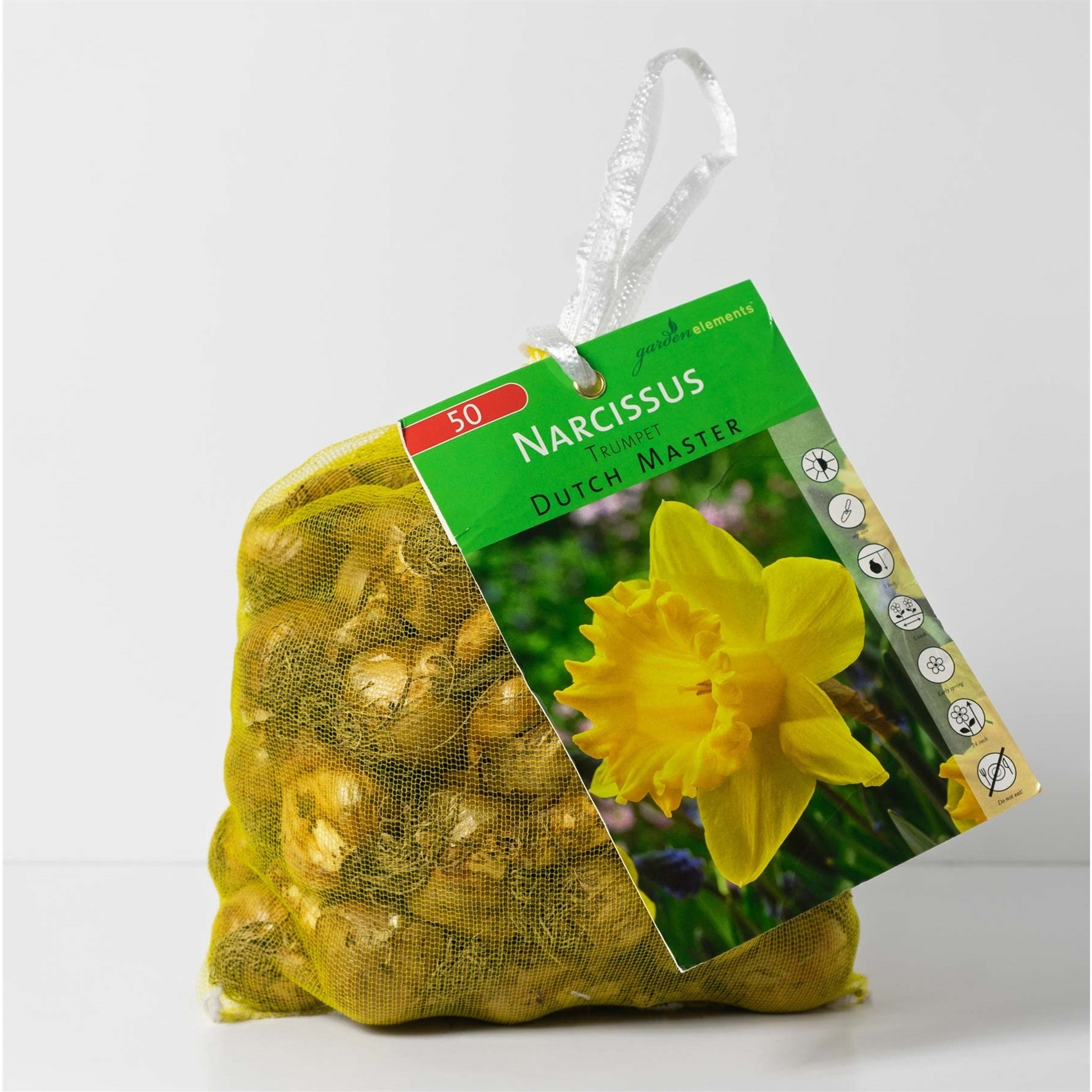 Garden Elements Live Flower Bulbs, Dutch Master Narcissus Daffodil, Yellow (50 Bulbs)