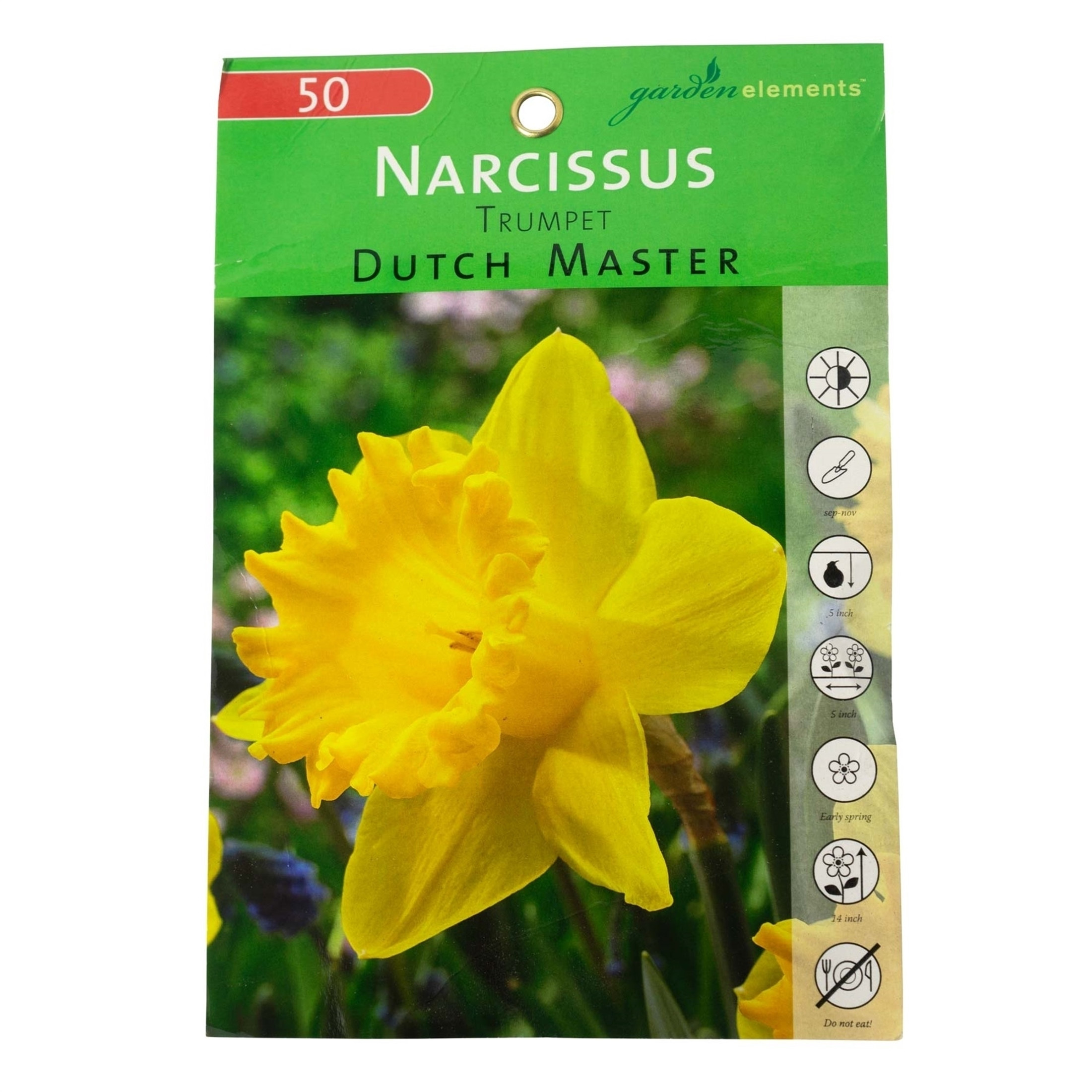 Garden Elements Live Flower Bulbs, Dutch Master Narcissus Daffodil, Yellow (50 Bulbs)